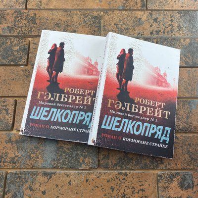 Шелкопряд Роберт Гелбрейт 0132457738 фото